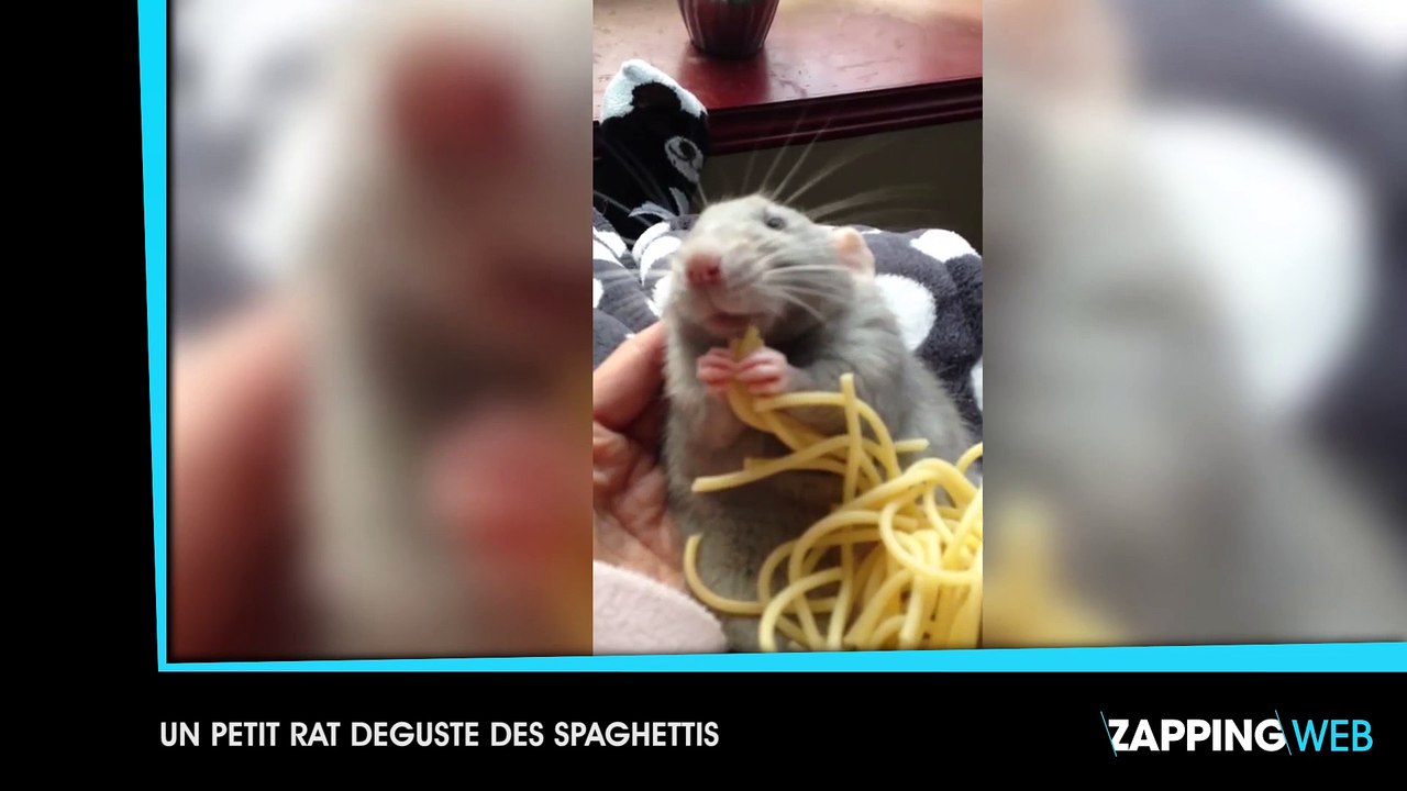 Le plus impressionnant embouteillage du monde