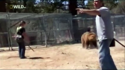 Beer Attacks On Owner But He Save His Life From Health Insurance By Oooy Idhar Dekh