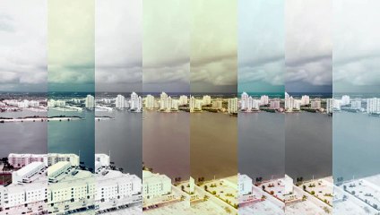 Florida Real Estate License