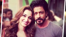 Shahrukh Khan And Tamannaah Bhatia Working Together?