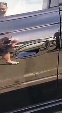 Si vous avez Peur des Araignées : n'allez pas Vivre en Australie !