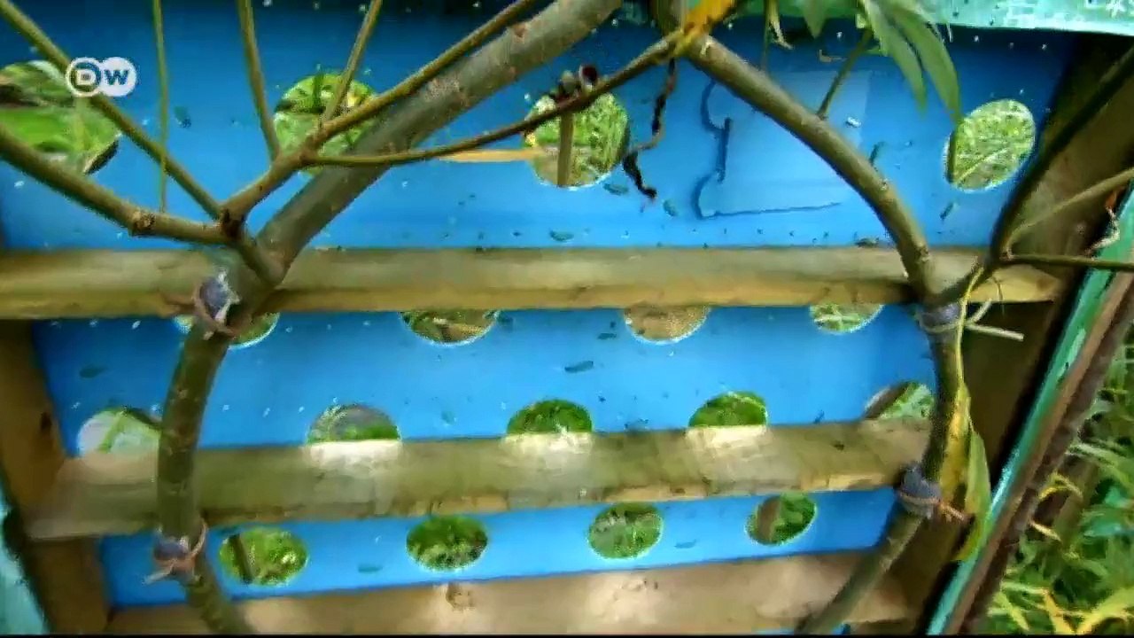 Diseño y naturaleza: campos de muebles | Euromaxx