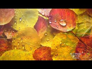 Emisiunea Radio-Tv Arthis din 09.10.2015/P1-ro.