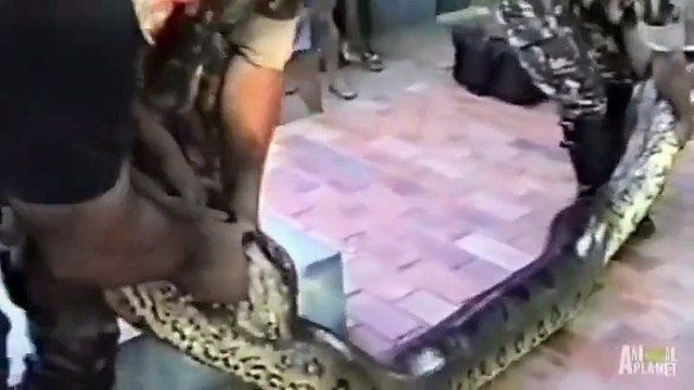 Man Save His Life From Snake. Its Very Dangerous By Oooy Idhar Dekh