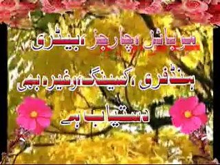 Zakir Wasim Abbas Baloch (Imam Hassan as ) Mojianwala