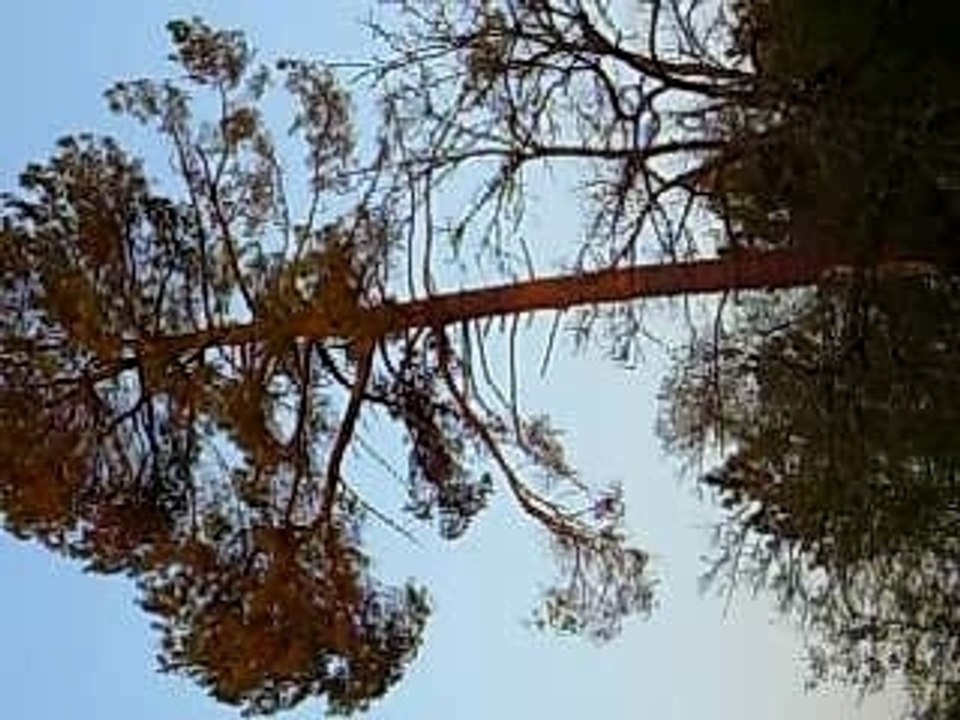 DSCN1039