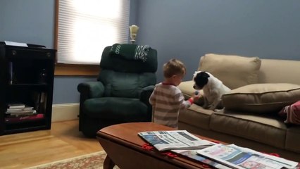 Dog Wont Fetch but His Boy Still Loves Him