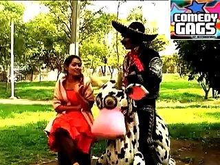 Estos celos en la Rockola Destrampada