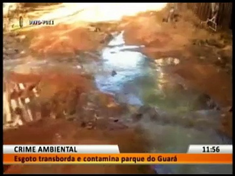 CRIME AMBIENTAL