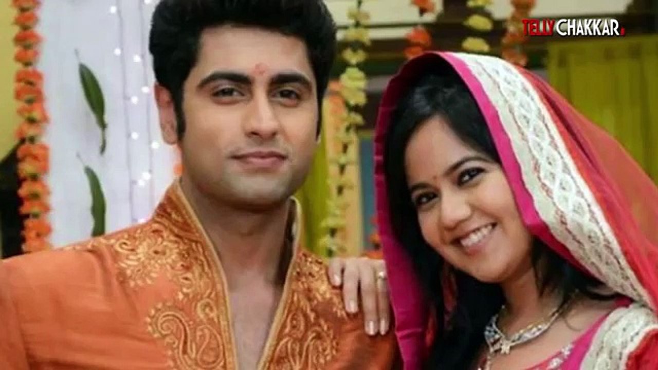 Bigg Boss 9   Confirmed list