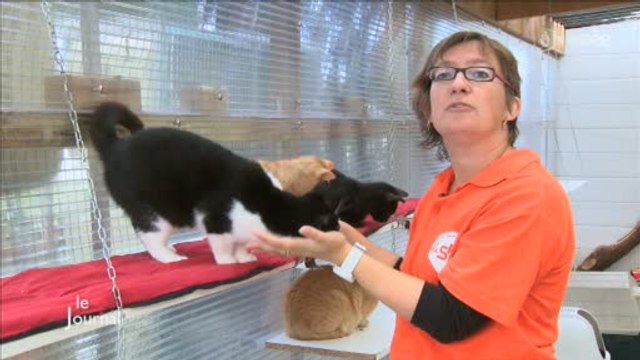 Vendée : Portes ouvertes à la SPA de La Roche-sur-Yon