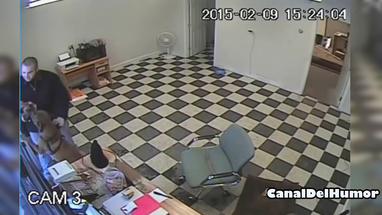 perro ataca a ladrón y salva a su dueño de un asalto