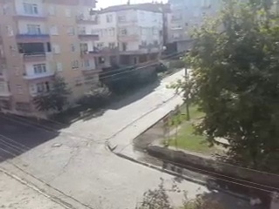 manzara