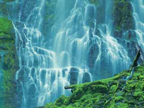 Good Michel Pépé _ La Vallée des Anges