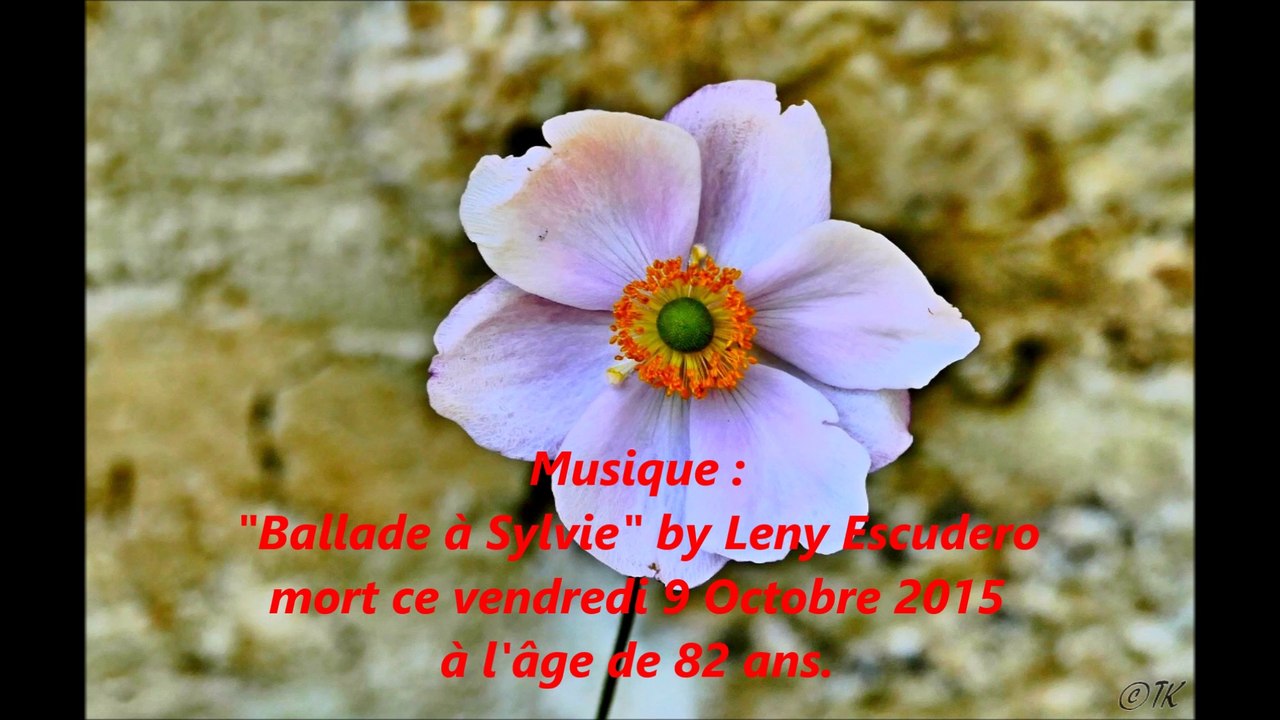 Ballade à Sylvie