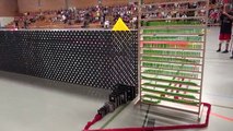 Guinness World Record - Longest domino wall