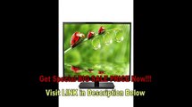 SPECIAL PRICE LG Electronics 42LF5600 42-Inch 1080p LED TV | led tv comparison | what is full hd led tv | samsung led televisions best prices
