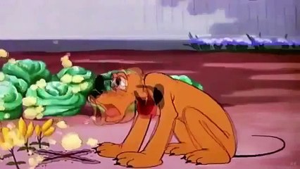 Disney Pluto Bone Bandit