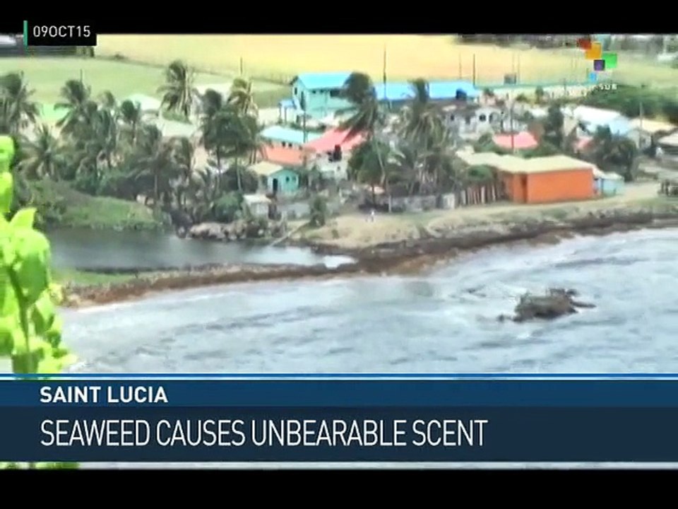 From the South - Rios Montt Denied Amnesty