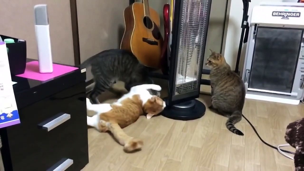 Кошачий вальс. ツ