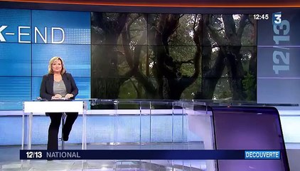 Les trésors cachés des monts du Forez