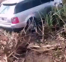 Bahut Mehngi Aur Expensive Car Stuck In Jungle(whatsapp9.com)
