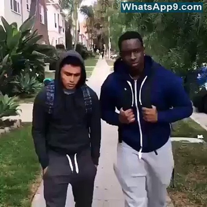 Everybody Does This In Childhood - Funny Playing With Dog(whatsapp9.com) (2)