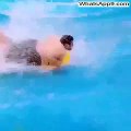 Fat Guys Swimming Fail - Ha Ha Chaddi Nikal Gayi(whatsapp9.com)
