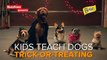 Kids Teach Dogs Trick Or Treating // Presented By BuzzFeed & Beggin Strips