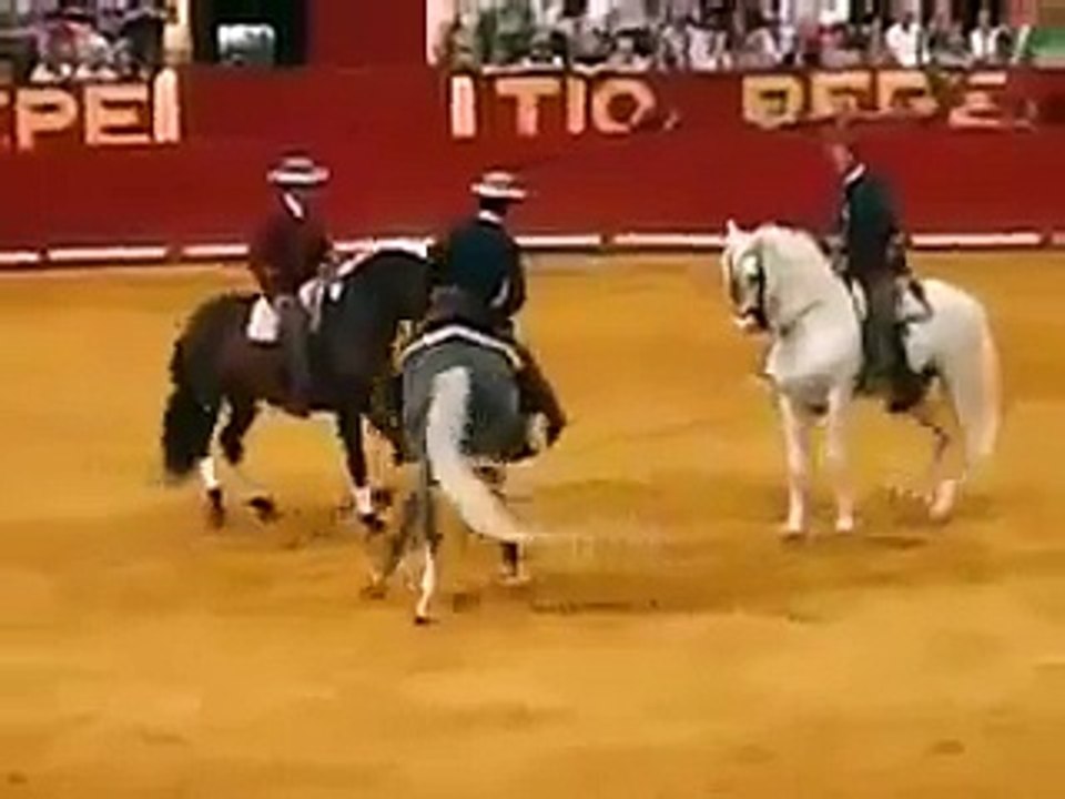 Bullfight on Horses!