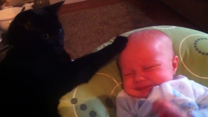 CAT SOOTHING CRYING BABY TO SLEEP – TOO CUTE!