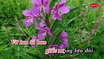 [Karaoke HD ]LK.Noi Voi Nguoi Tinh -Tuan vu -Son tuyen -Thien Trang (DeMo) FuLL 1080y
