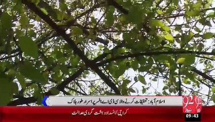 Islamabad Darkhtoon Ki Choori Ka Mamla – 10 Oct 15 - 92 News HD