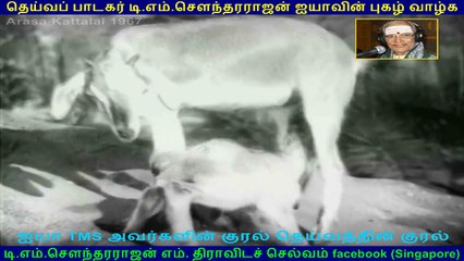 Arasa Kattalai song  1967  TMS Legend