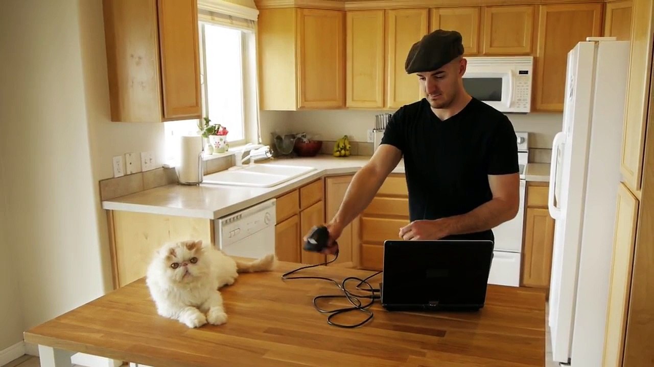 Catzooka - Cat Launcher!