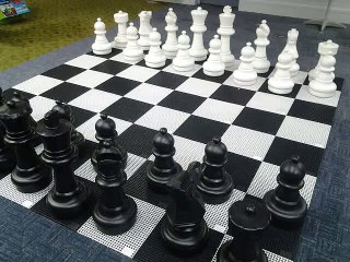 chess set rotorua public library