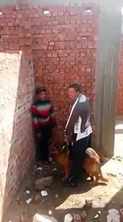 Adama Köpek Salarak Eşşek Şakası Yapmak