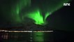 Norvège : Un groupe de baleines sous des aurores boréales