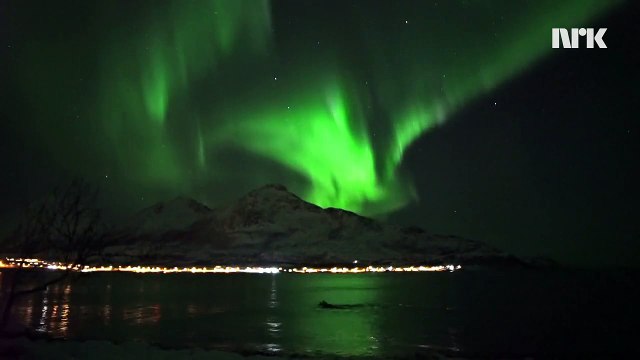 Norvège : Un groupe de baleines sous des aurores boréales