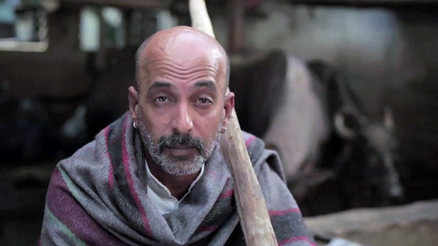 Insuring India Akal Bdi Ya Bhains