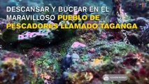 10 increíbles actividades que no podrás dejar de hacer cuando vayas a Colombia