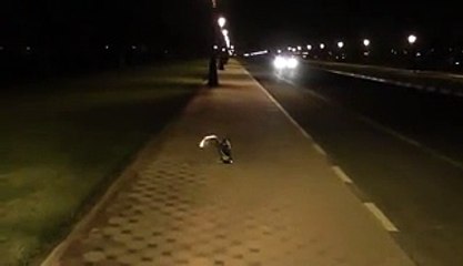 Awesome RC Helicopter Skills - Must Watch