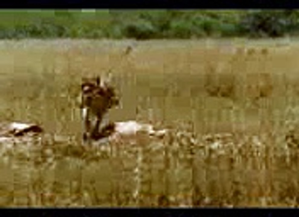 funny clips video playitpk (31)