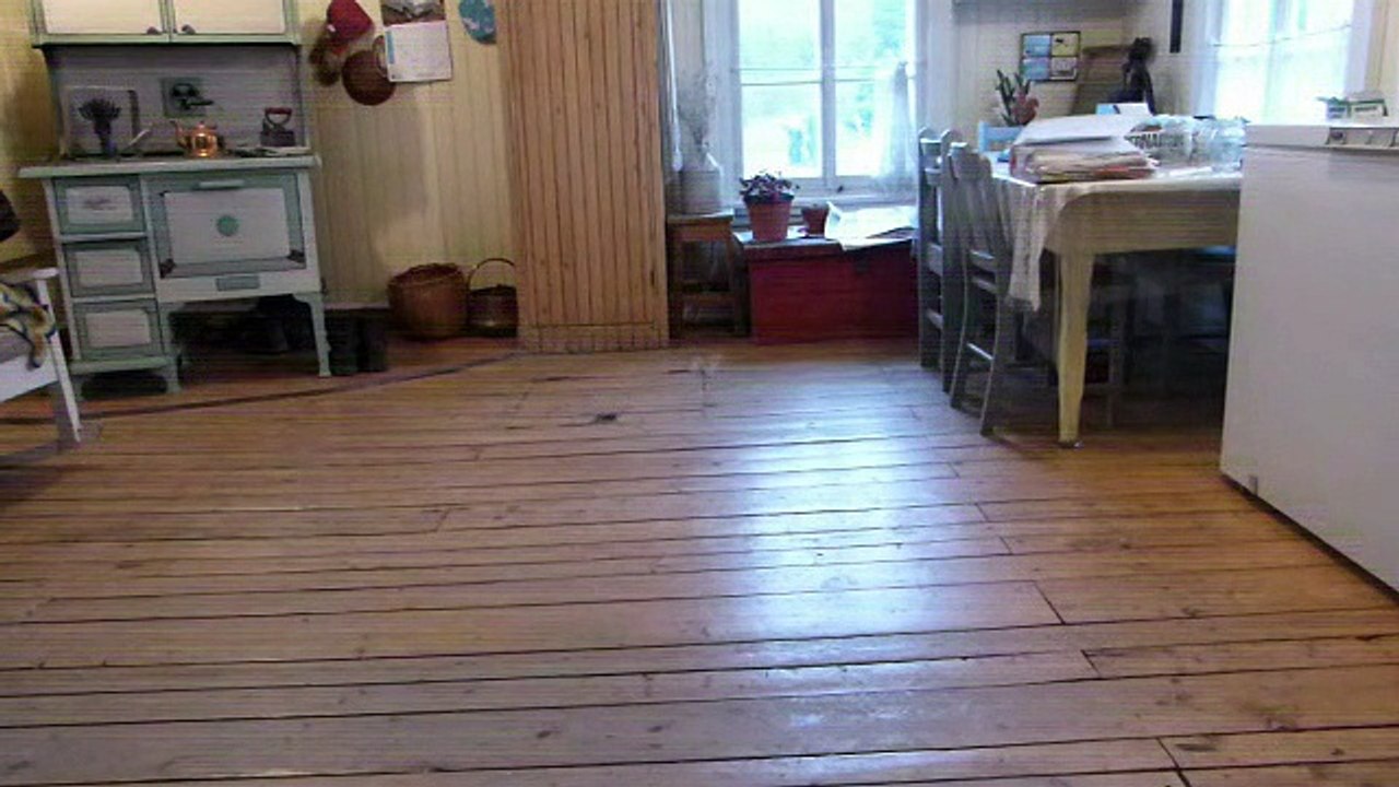 PUSSY CAT TANGO