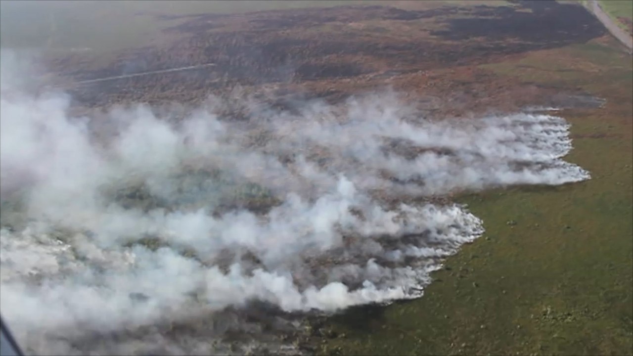 إندونيسيا تستنجد بالمجتمع الدولي لإطفاء حرائق الغابات