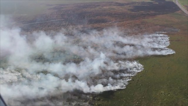 إندونيسيا تستنجد بالمجتمع الدولي لإطفاء حرائق الغابات
