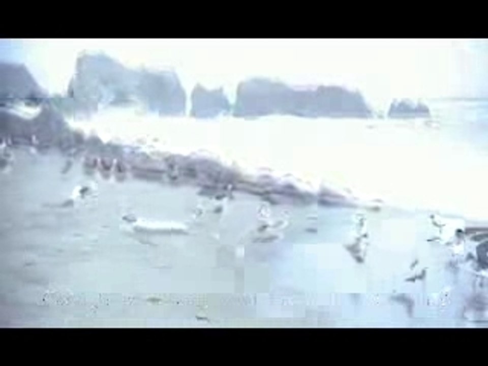 XFILES -  MULDER STORY - AMV