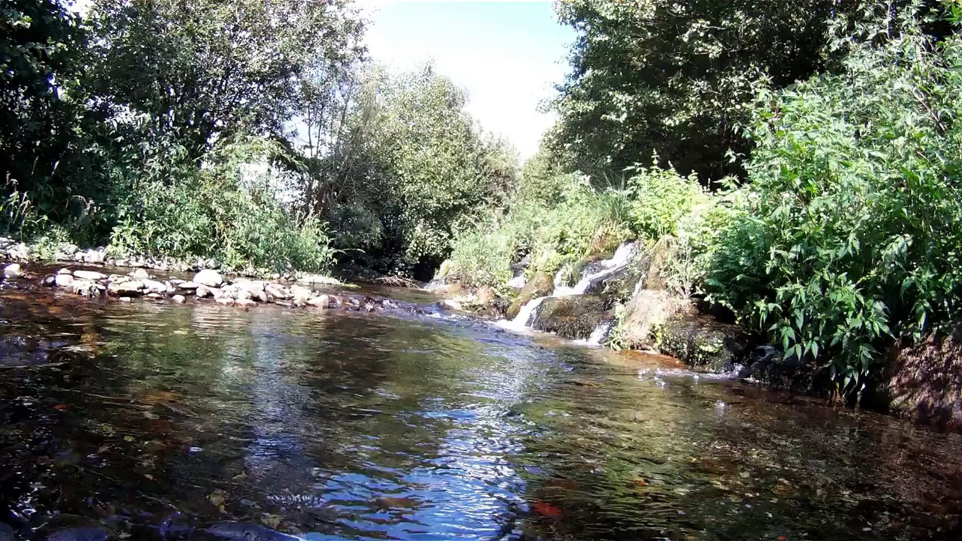 【HD】Loivos da Ribeira, Baião - Portugal