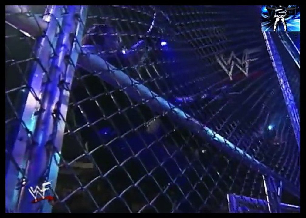 undertaker vs makind hell in a cell vf