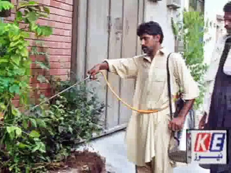 pahari & gijri news 10-10-15_mpeg4